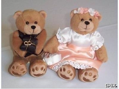 Ring Bearer and Flower Girl Teddy